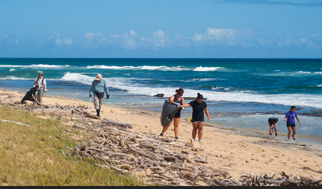 Coastal Cleanup