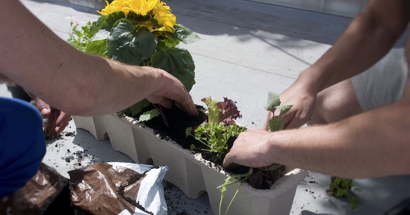 eco garden