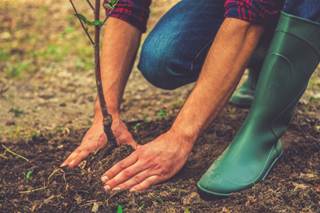 Aerial Reforestation