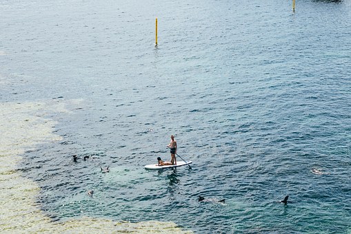 paddle-boarding