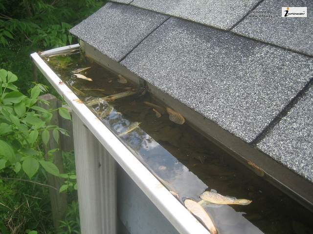 Clogged gutters