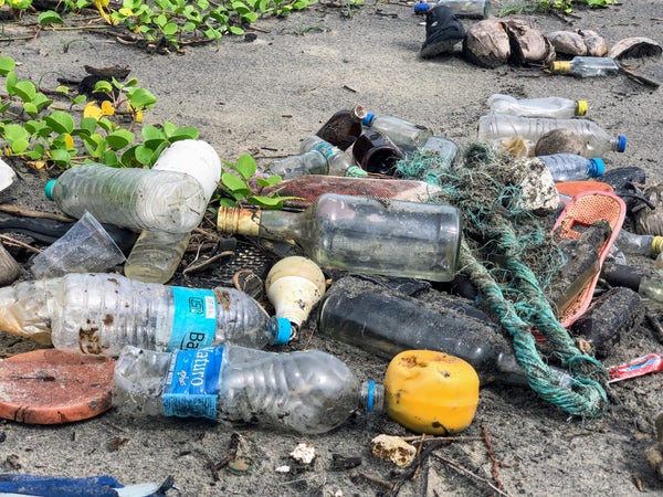 Three Ways Plastic Pollution Impacts Land and Ocean Animals - The  Environmental Blog
