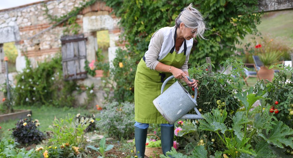 gardening