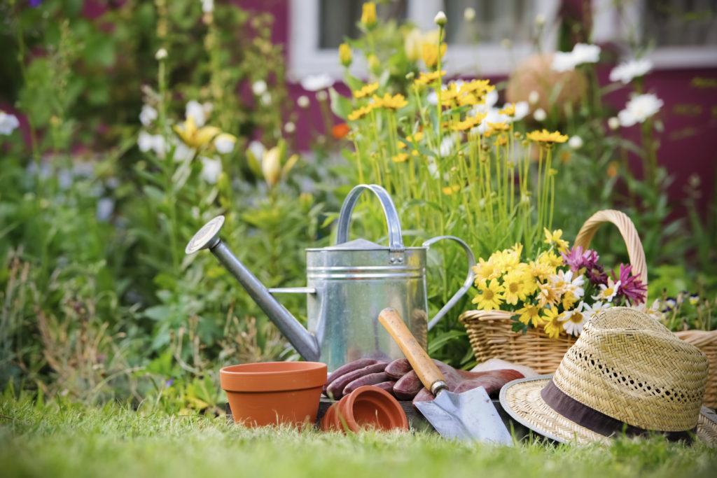 garden tools