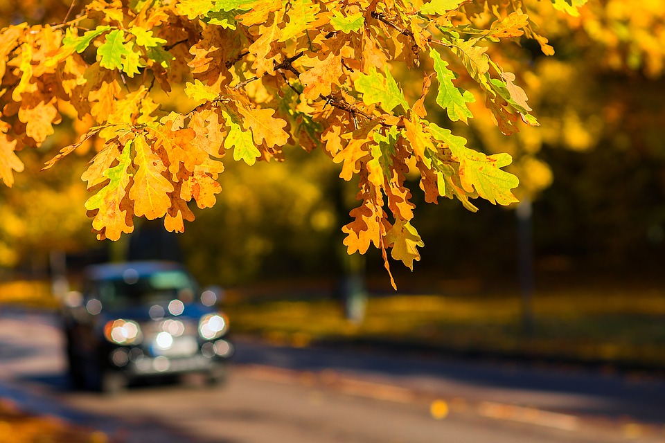 green car