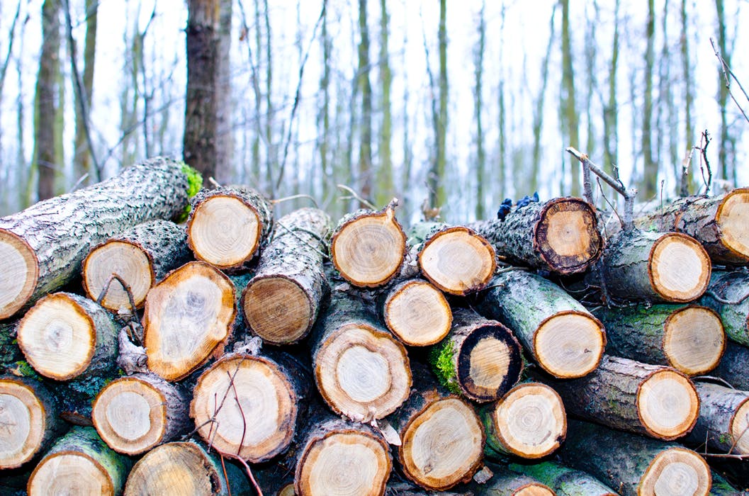 Cutting Trees