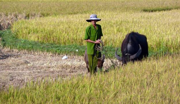 Climate Change in Vietnam