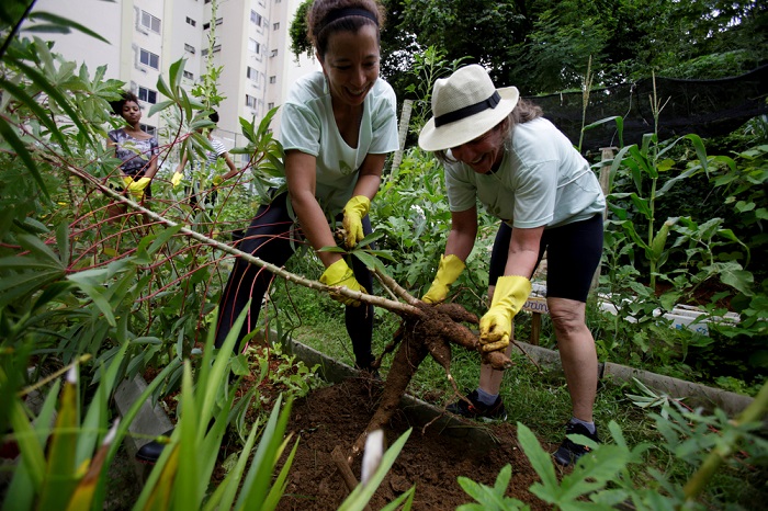 community garden