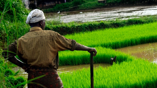 green agriculture