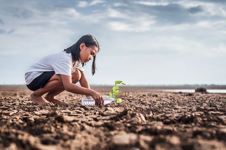 Asian girl watering green plant in dry land,Crack dried soil in
