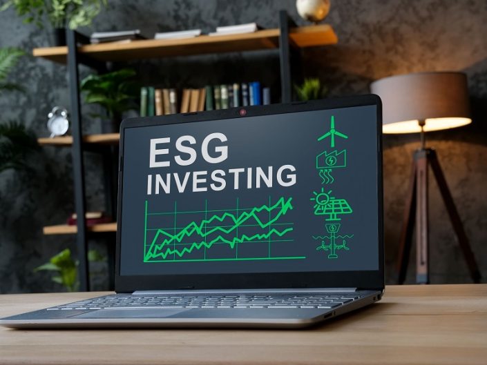 A Beginner’s Guide To ESG Investing - The Environmental Blog