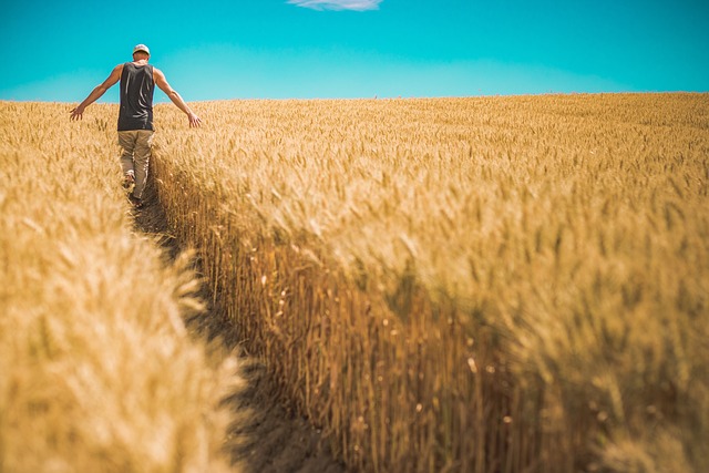 farmer