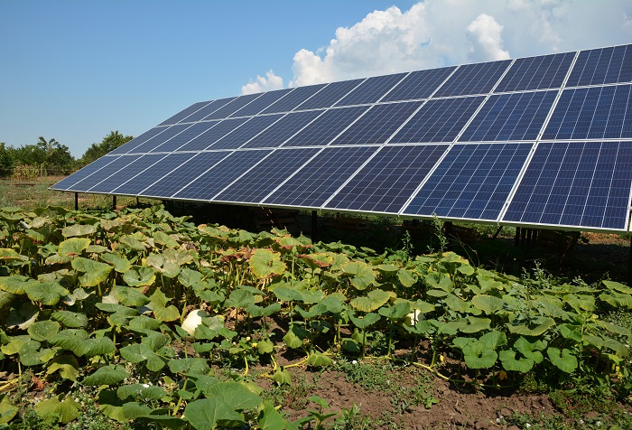 Ground Mounted Solar Panels