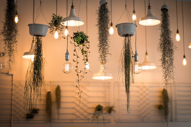 Plant Lights and Environmental Conservation