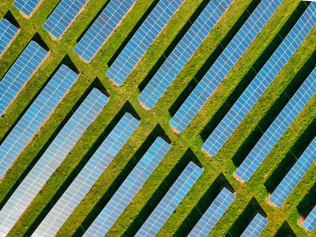 Eco-Friendly Techniques in Modern Poultry Farming