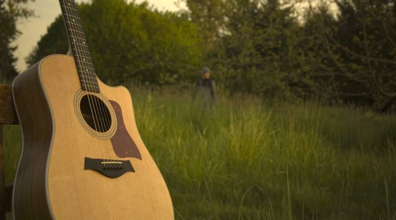 Guitar in field (lightened)
