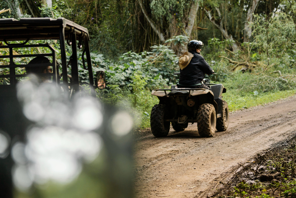 Electric UTVs