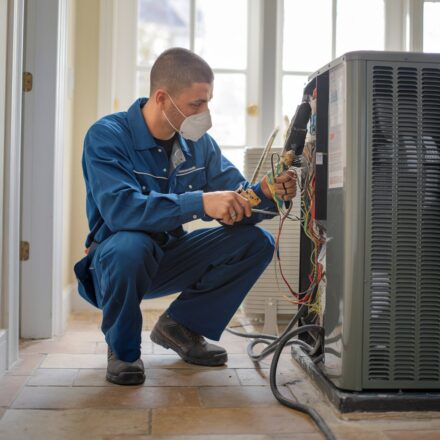 Diet Coke vs Coke Zero: Which One Should You Pick? - The Environmental Blog