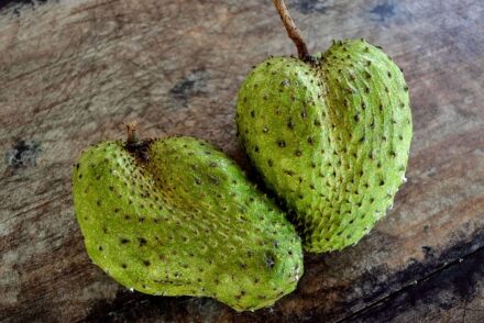 Why Is Soursop Illegal? What Scientists and the FDA Say - The