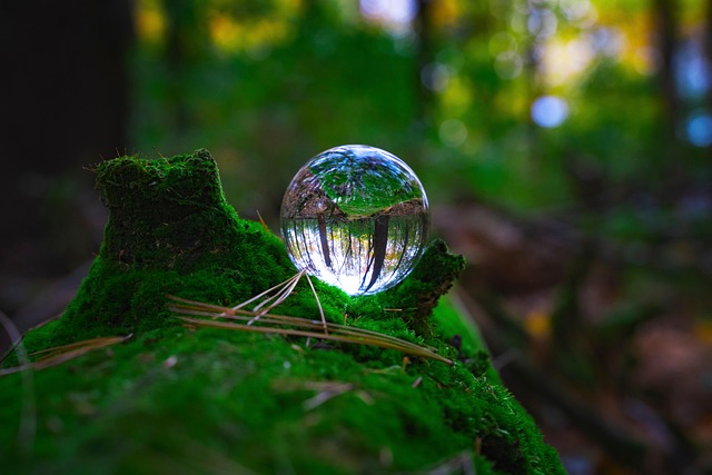 A Simple Guide to Compliance for Small, Eco-Conscious Businesses