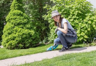 Is Your Backyard a Carbon Sink or a Carbon Source?