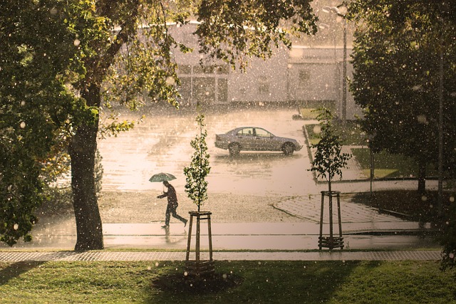Climate Resilience at Home: How to Prepare for Extreme Weather Blackouts