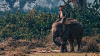 Natural Bridge Zoo 2025: Must-See Animal Encounters & What’s New in Virginia