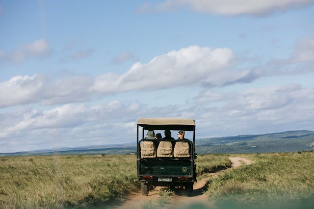 Safari Wagon Ride