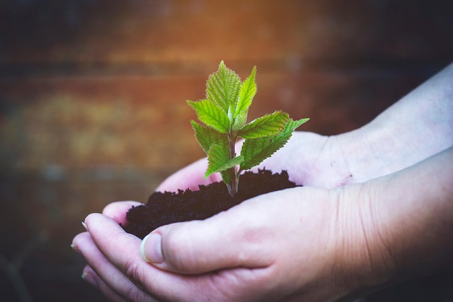Tree-Planting Event