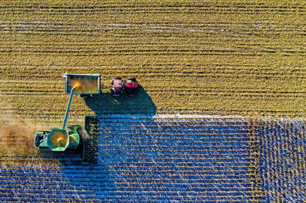 How Synthetic Biology Is Powering the Next Green Revolution
