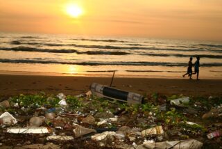 How Everyday Consumer Choices Impact Environmental Conservation