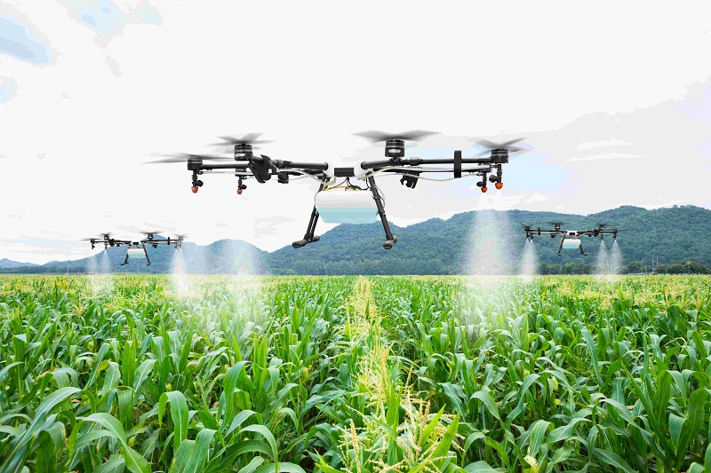 Drone using in a farm