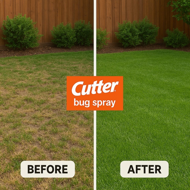 Before and after Cutter bug spray results in backyard