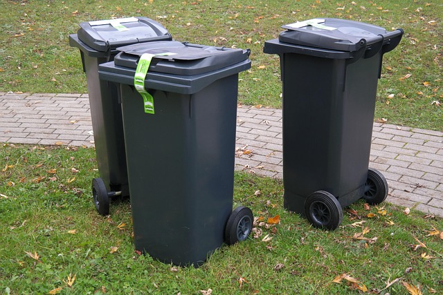 Junk Haulers & Yard Waste Removal: Your Ultimate Guide to a Cleaner, Greener Yard