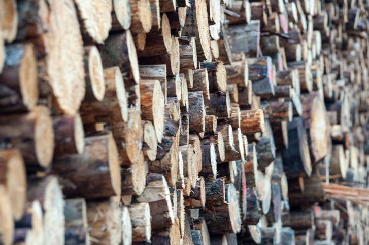role of timber