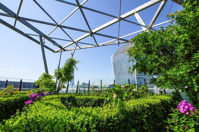 green infrastructure