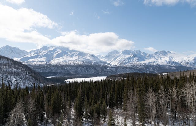 Alaska Eco Adventure Tours: From Tundra Trails to Tidewater Glaciers