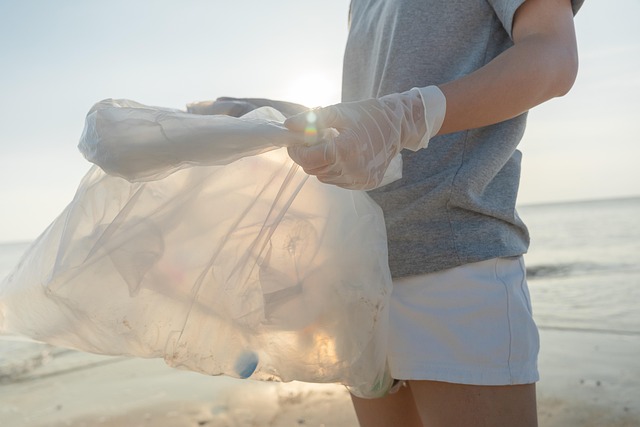 How to be more environmentally friendly in your daily life
