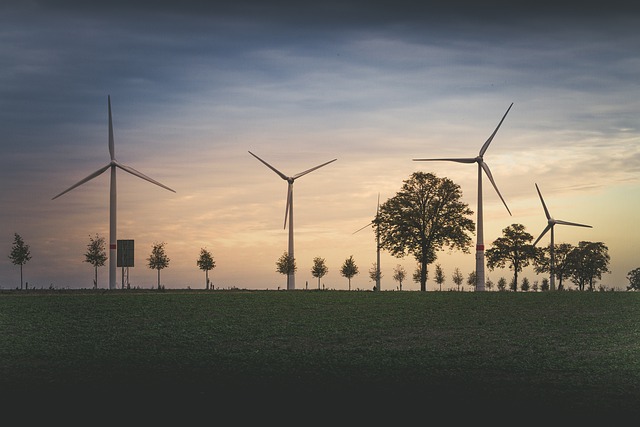 Leading With Empathy: A Blueprint for Environmental Change