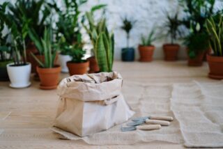 Eco-Friendly Living After 65: Small Changes for a Greener Retirement