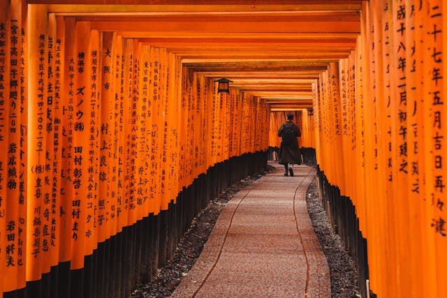 What to Do in Kyoto – Walking through red torii gates at Fushimi Inari Shrine