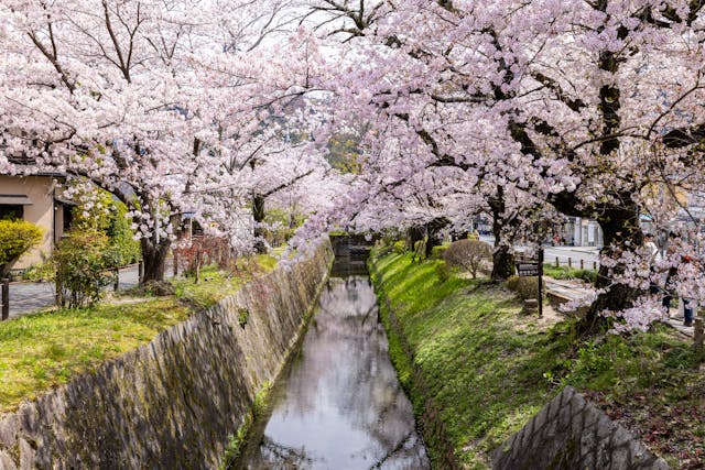 Kyoto Philosopher’s Path