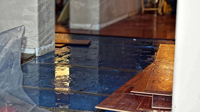 What Is Water Mitigation