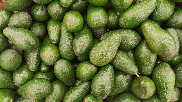 Collection of small avocado from garden 