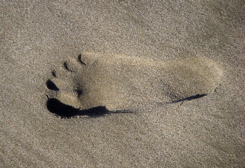 Tracking Footprints