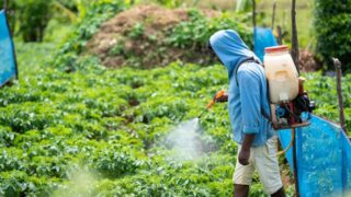 5 Changes to Make for Lower Impact Pest Control: A Professional’s Guide to Protecting Your Family and Environment