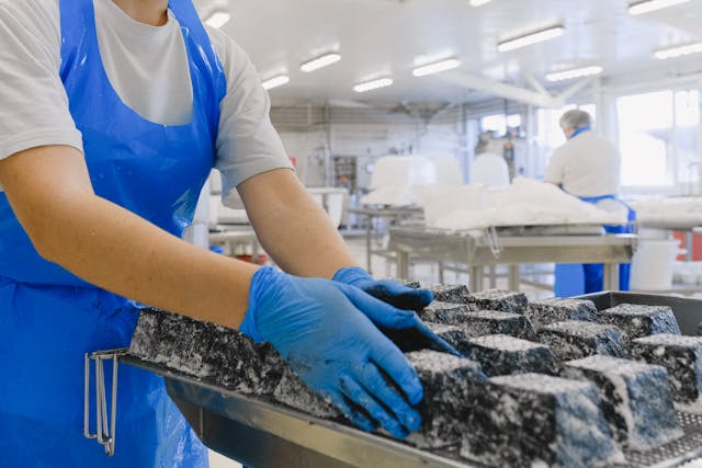 Top Online Stores for Sanitary Processing Equipment
