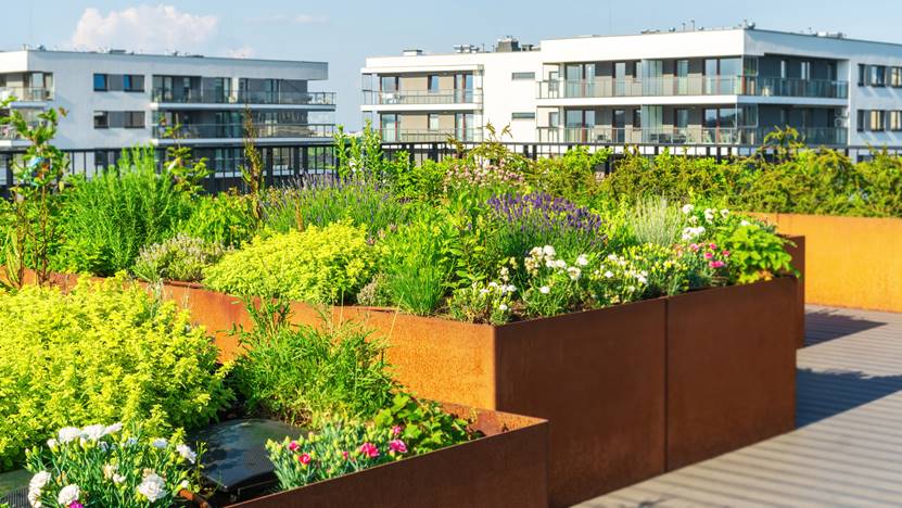 Eco-Friendly Gardening