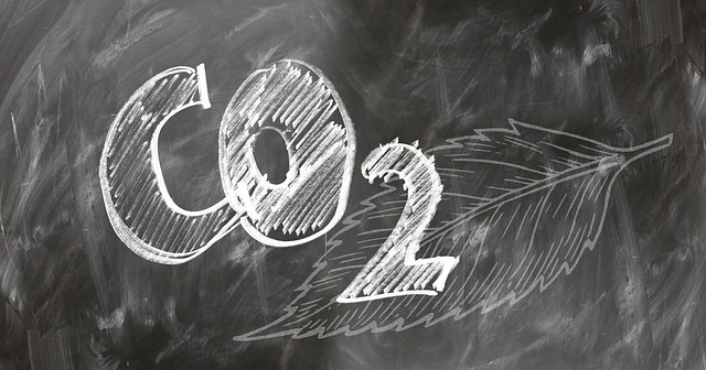 Carbon Offset Strategy