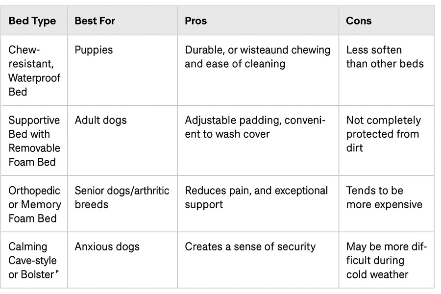 Table comparing dog bed types—puppy, adult, senior, anxious—showing best uses, pros, and cons.